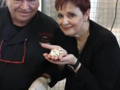 Recette Potage Crème de Soissons