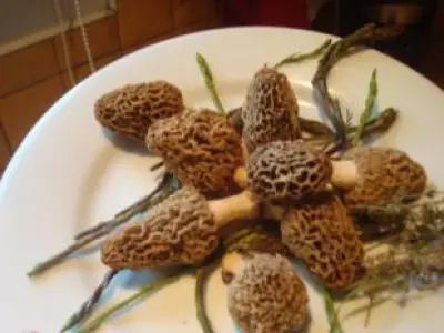 Recette Poulet au vin jaune et aux morilles