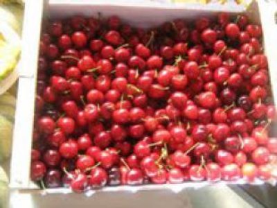 Recette Boissons fraîche pour l'été