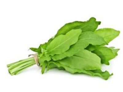 Recette Ris d'agneau à l'oseille