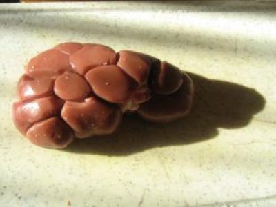 Recette Rognons de veau