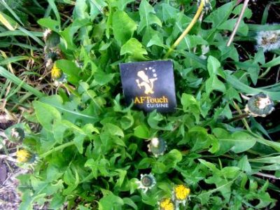 Recette Salade aux cretons