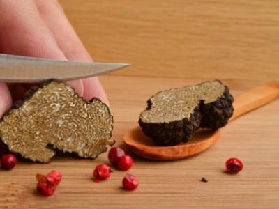 Recette Sauce Périgueux