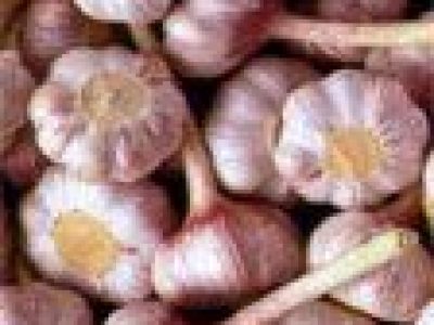 Recette Sauce aïoli