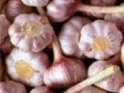 Recette Sauce aïoli