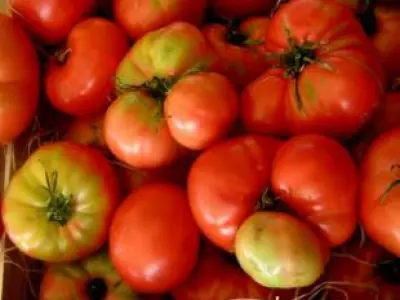 Recette Sorbet tomates basilic