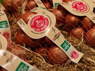 Recette Soubise à la picarde