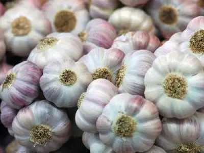 Recette Soupe à l'ail