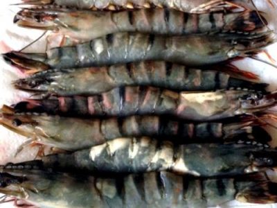 Recette Soupe de gambas