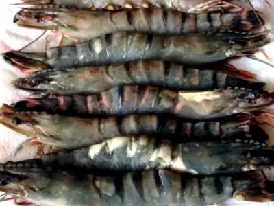 Recette Soupe de gambas