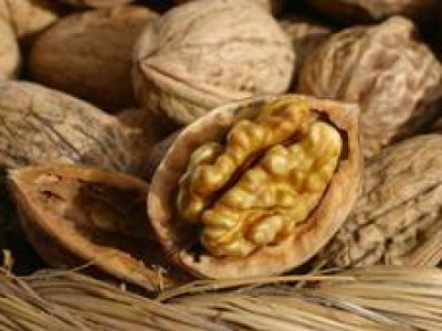 Recette Suprême de volaille aux noix