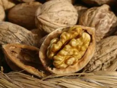 Recette Suprême de volaille aux noix