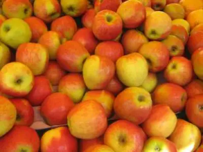 Recette Toasts aux pommes