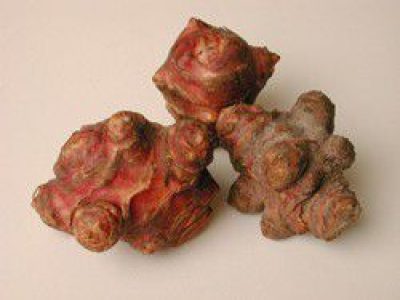 Recette Topinambours