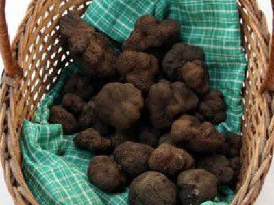 Recette Truffes sous la cendre