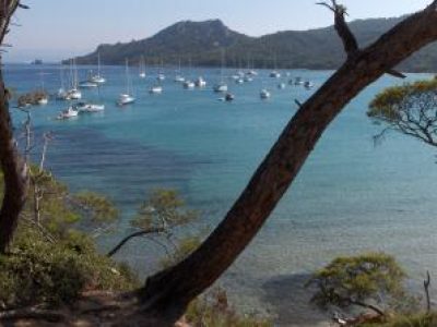 Recette Veau confit en cocotte