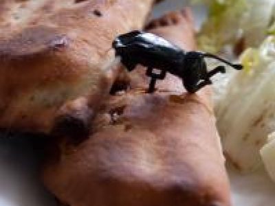 Recette Empanadillas Espagnols