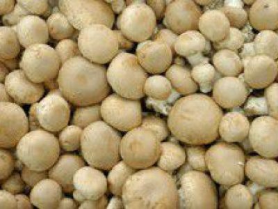 Recette Champignons de Paris à la Valat