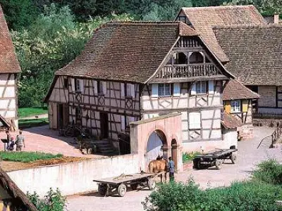 Terroir Alsace