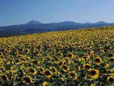 Terroir Franche-Comté