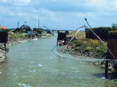 Terroir Pays-de-la-Loire