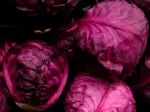 Photo recette Choux rouge