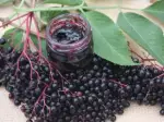 Photo recette Gelée de Sureau