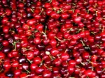 Photo recette Sauce aux cerises selon Escoffier