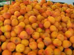 Photo recette Mousse d'abricots