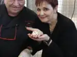 Photo recette Potage crème de Soissons