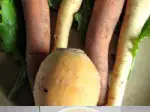 Photo recipe Forgotten Vegetable Soup