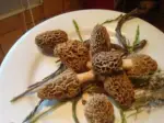Photo recette Poulet au vin jaune et aux morilles