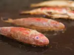 Rougets à la plancha, fins et savoureux