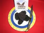 Scallops with Black Truffles, earthy and fragrant