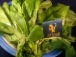 Potage Germiny (French Sorrel Soup), rich and flavorful
