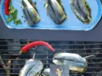 Sardines au barbecue, rapide et facile