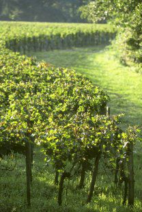 Patrimoine des Terroirs
