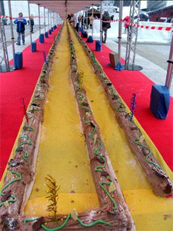 Une bûche de noël de plus de 200 Mètres