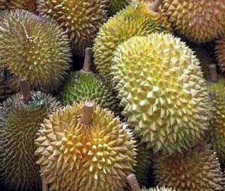 Le Durian
