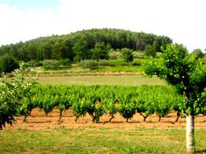 Une bien jolie escapade