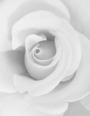 Message de condoléances et de soutien