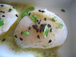 62 recettes de coquilles St jacques