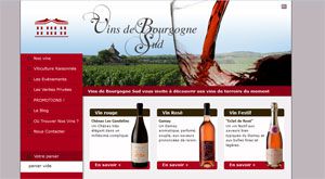 Vins de la région Bourgogne-sud
