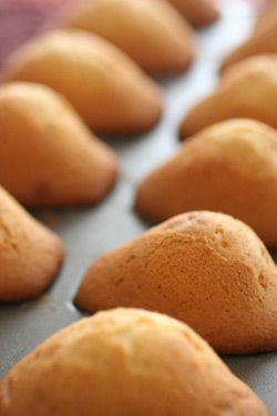 Histoire de la madeleine