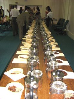 Concours AVPA 2007 : les meilleurs cafés