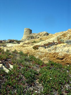 Une escapade Bastiaise