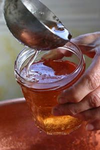 Recettes des gelées et confitures