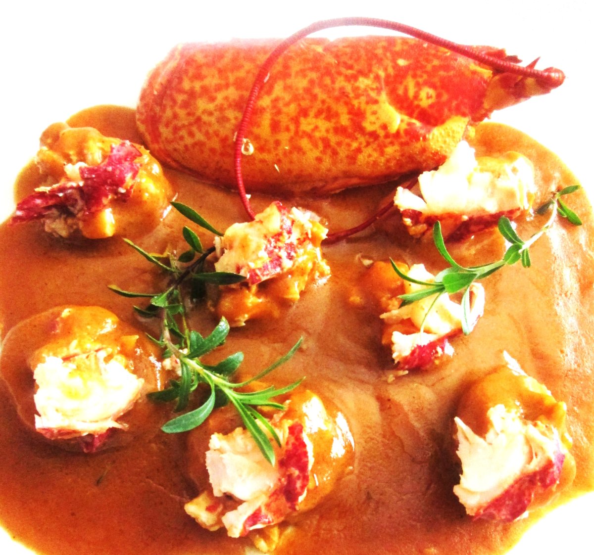 Bouchées de homard de casier à la charentaise