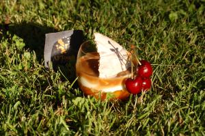 Compotée d'abricots, fromage blanc vanillé et cbs