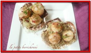 Noix de saint-jacques purée de fenouil